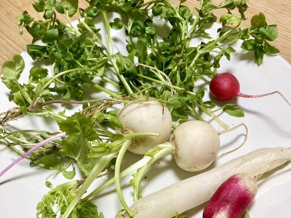 港区　六本木　花屋　ゴトウフローリスト　フラワージャーナル