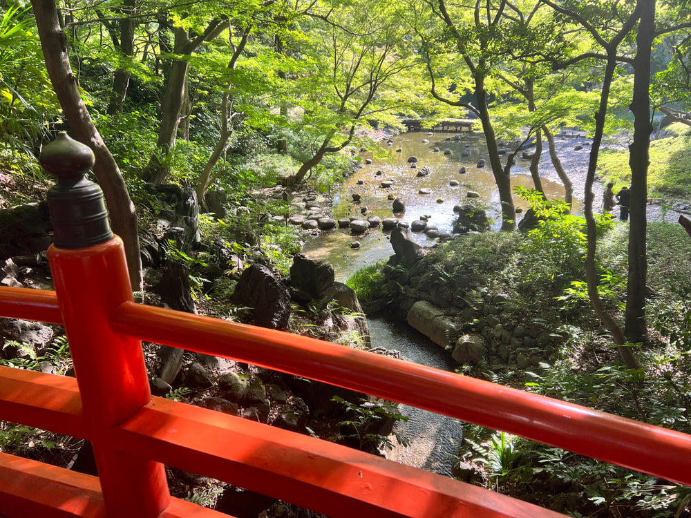 港区　六本木　花屋　ゴトウフローリスト　小石川後楽園