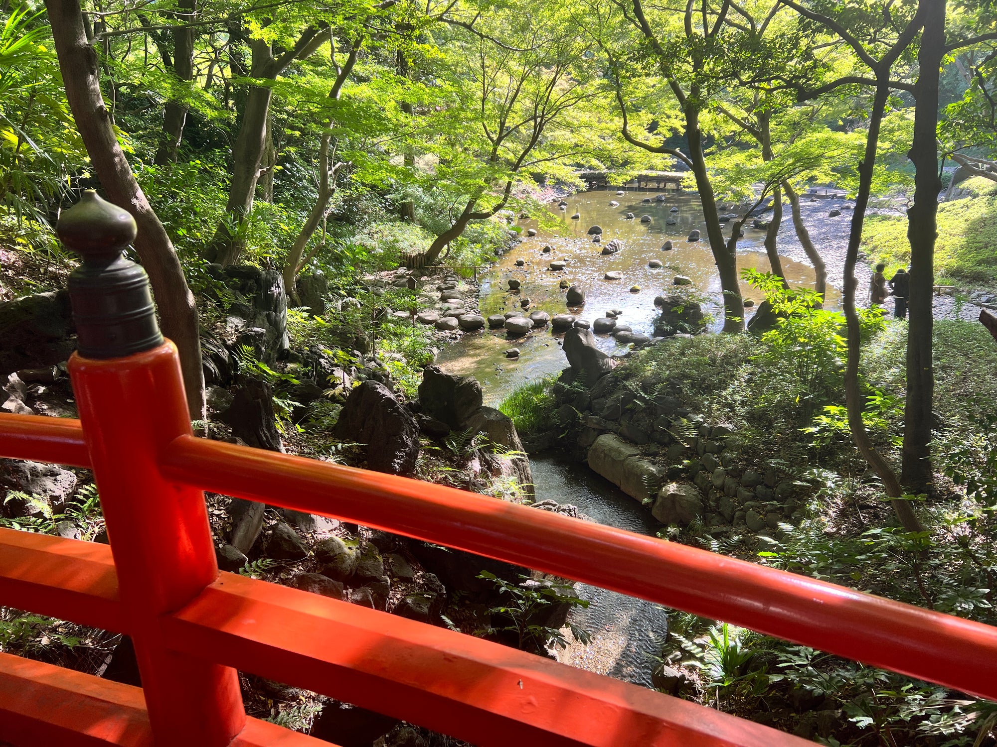 港区　六本木　花屋　ゴトウフローリスト　小石川後楽園