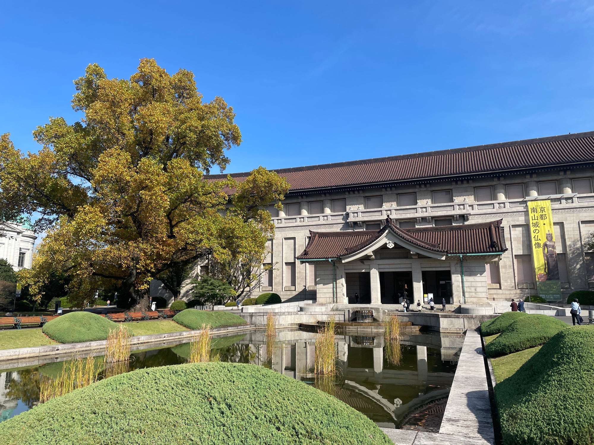 港区　六本木　花屋　ゴトウフローリスト　五感