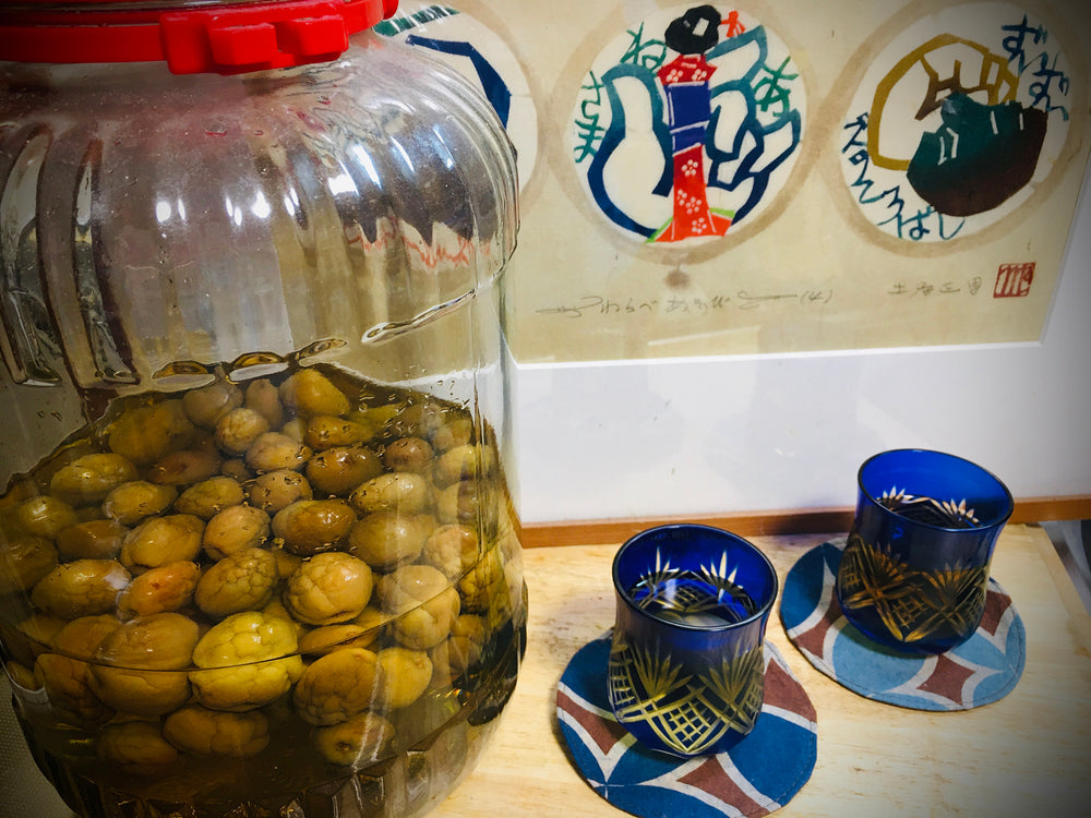 梅 〜Japanese Apricot〜