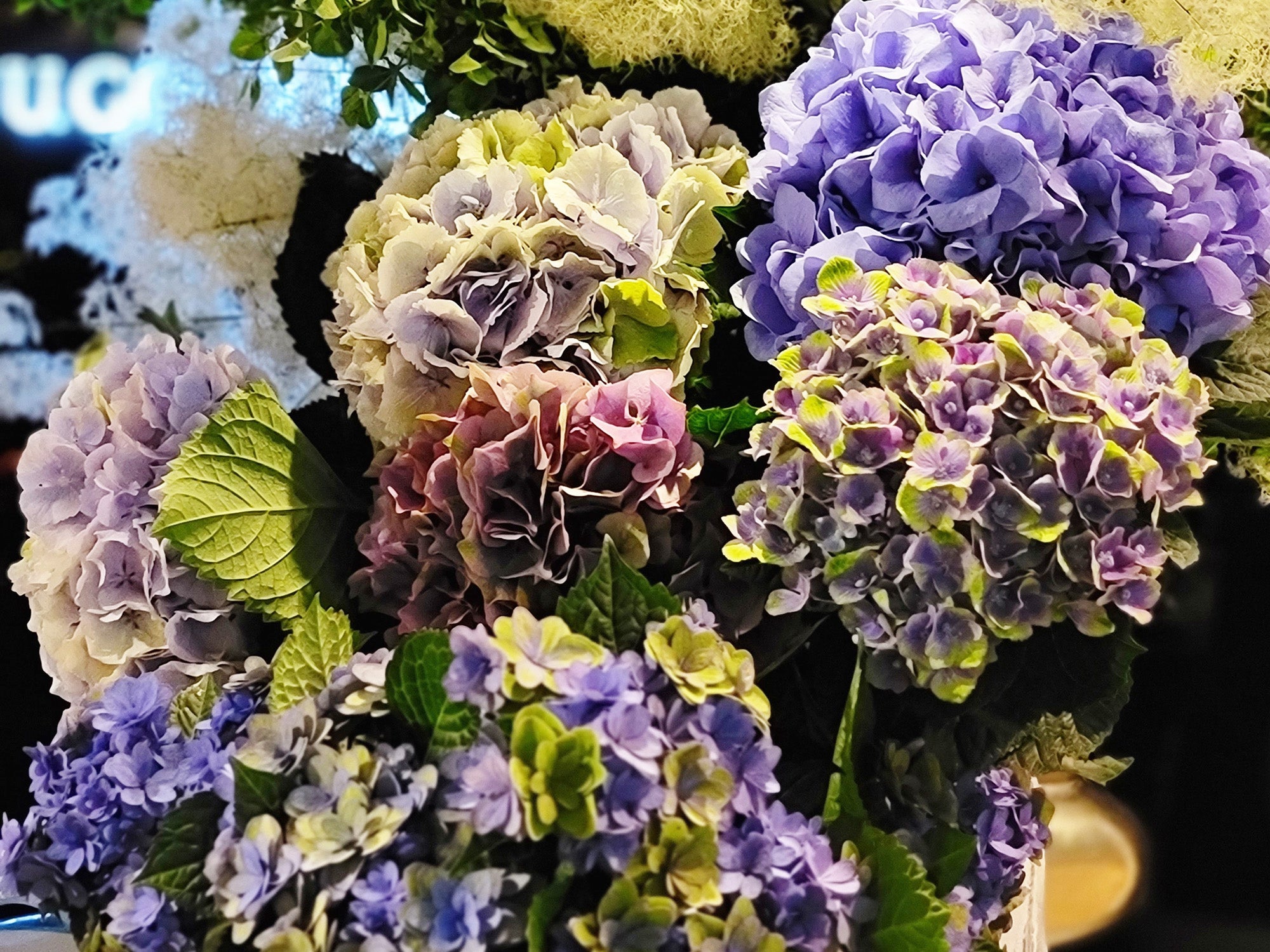 あじさい　ゴトウフローリスト　港区六本木