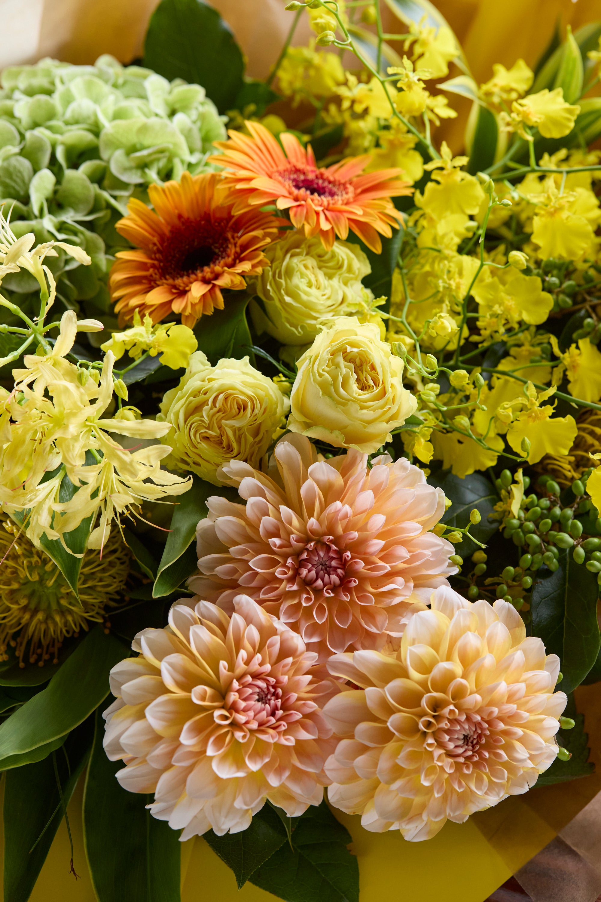 Sunshine Bliss《サンシャインブリス》