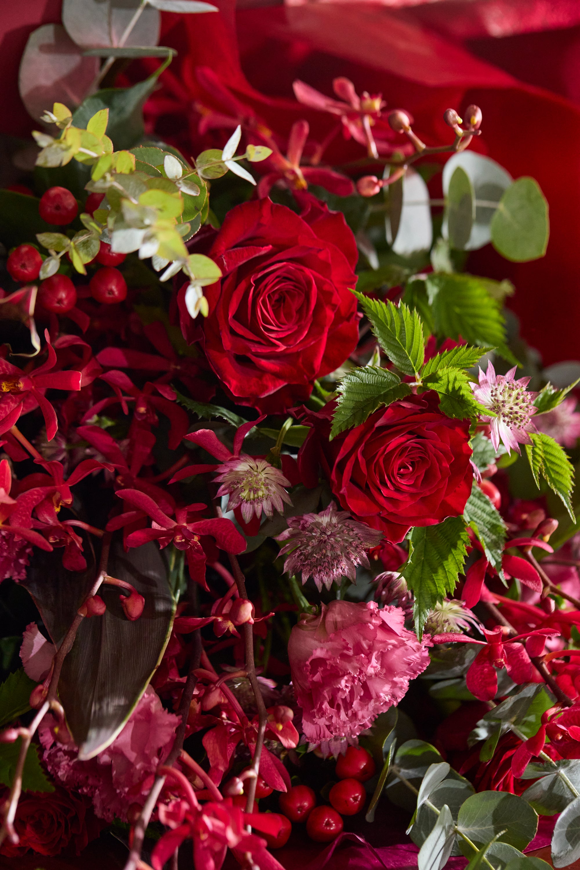 Crimson Elegance《クリムゾンエレガンス》