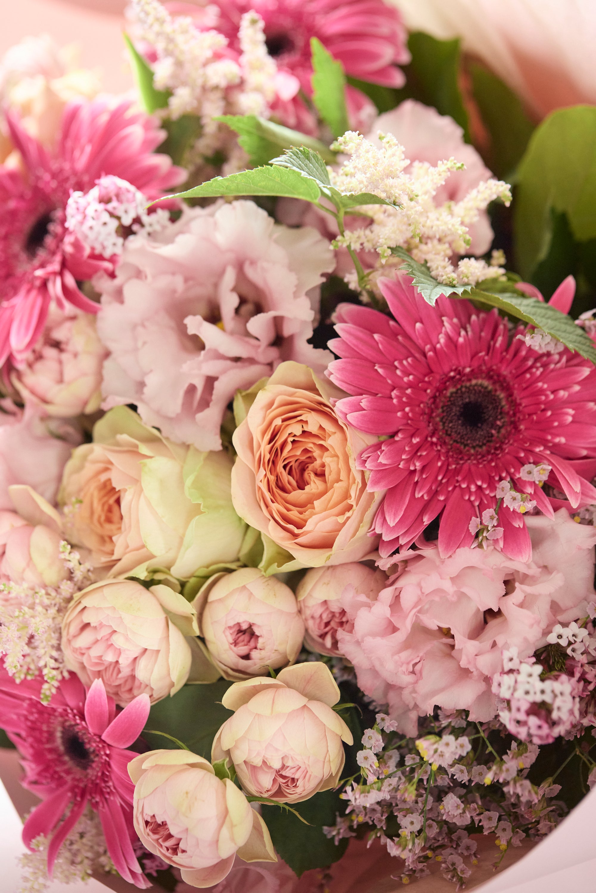 Blush Harmony《ブラッシュハーモニー》