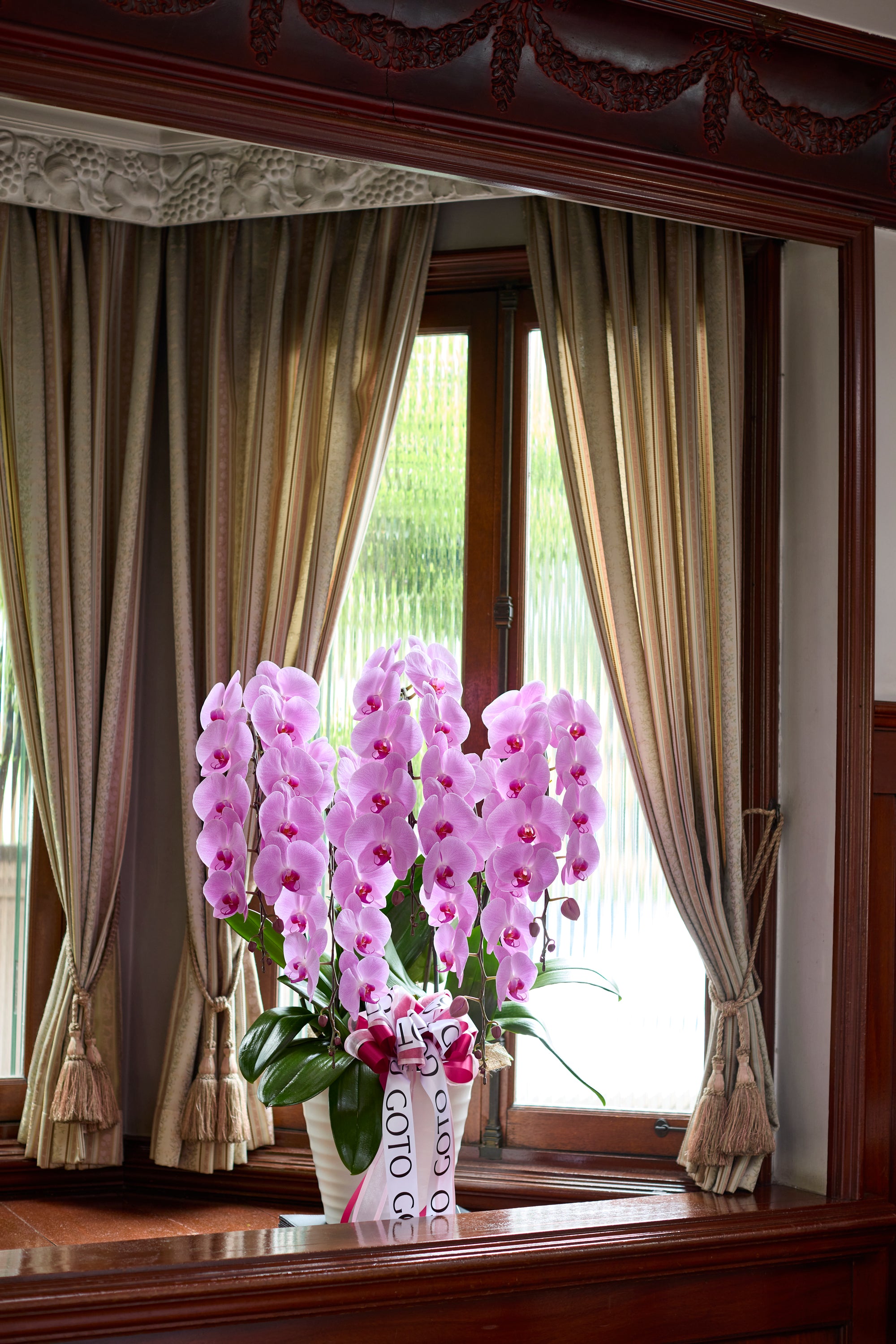 胡蝶蘭ピンク5本立丨Orchid Grace《オーキッドグレース》