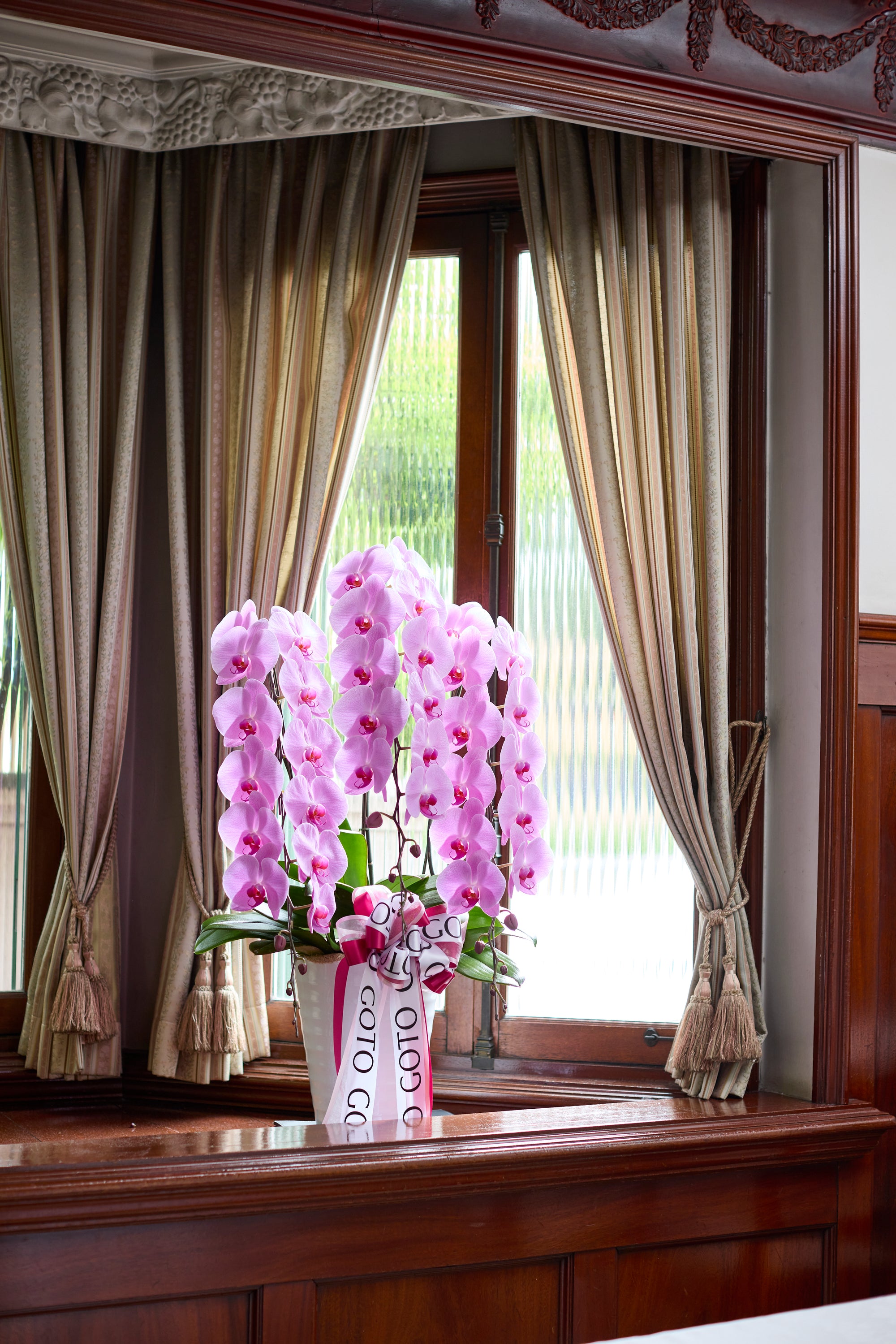 胡蝶蘭ピンク3本立丨Blushing Elegance《ブラッシングエレガンス》