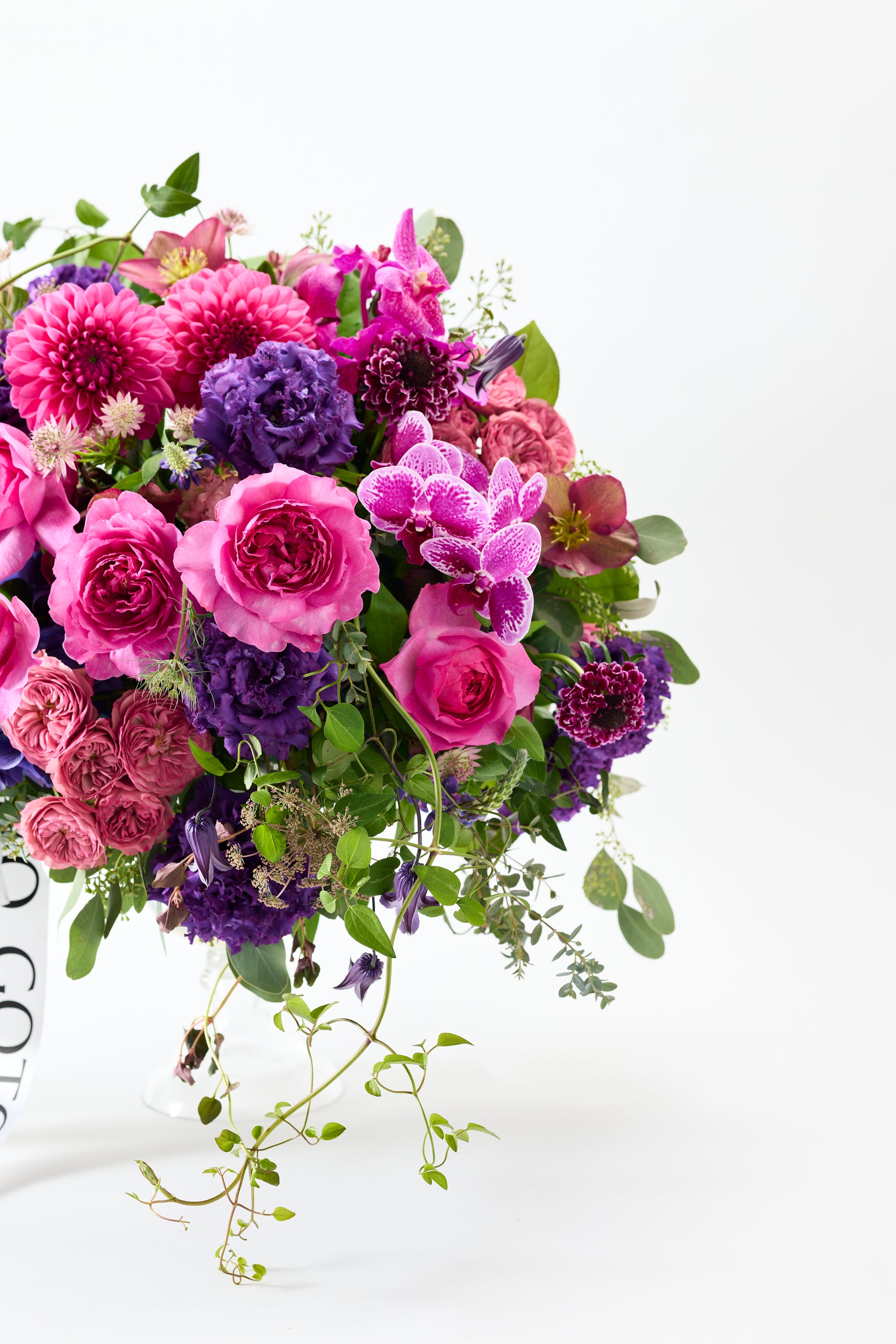 Floral Crescendo《フローラルクレシェンド》