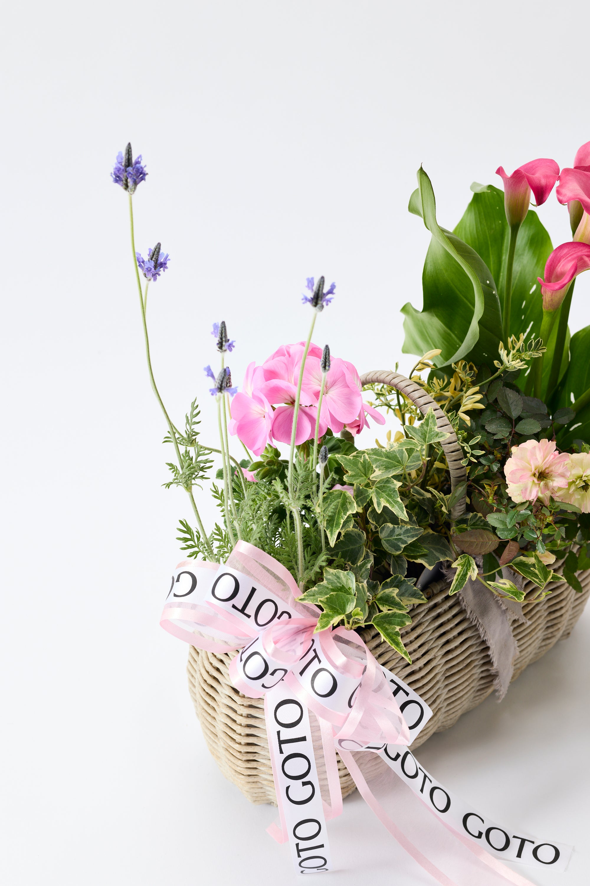 Soft Hug Garden《ソフトハグガーデン》