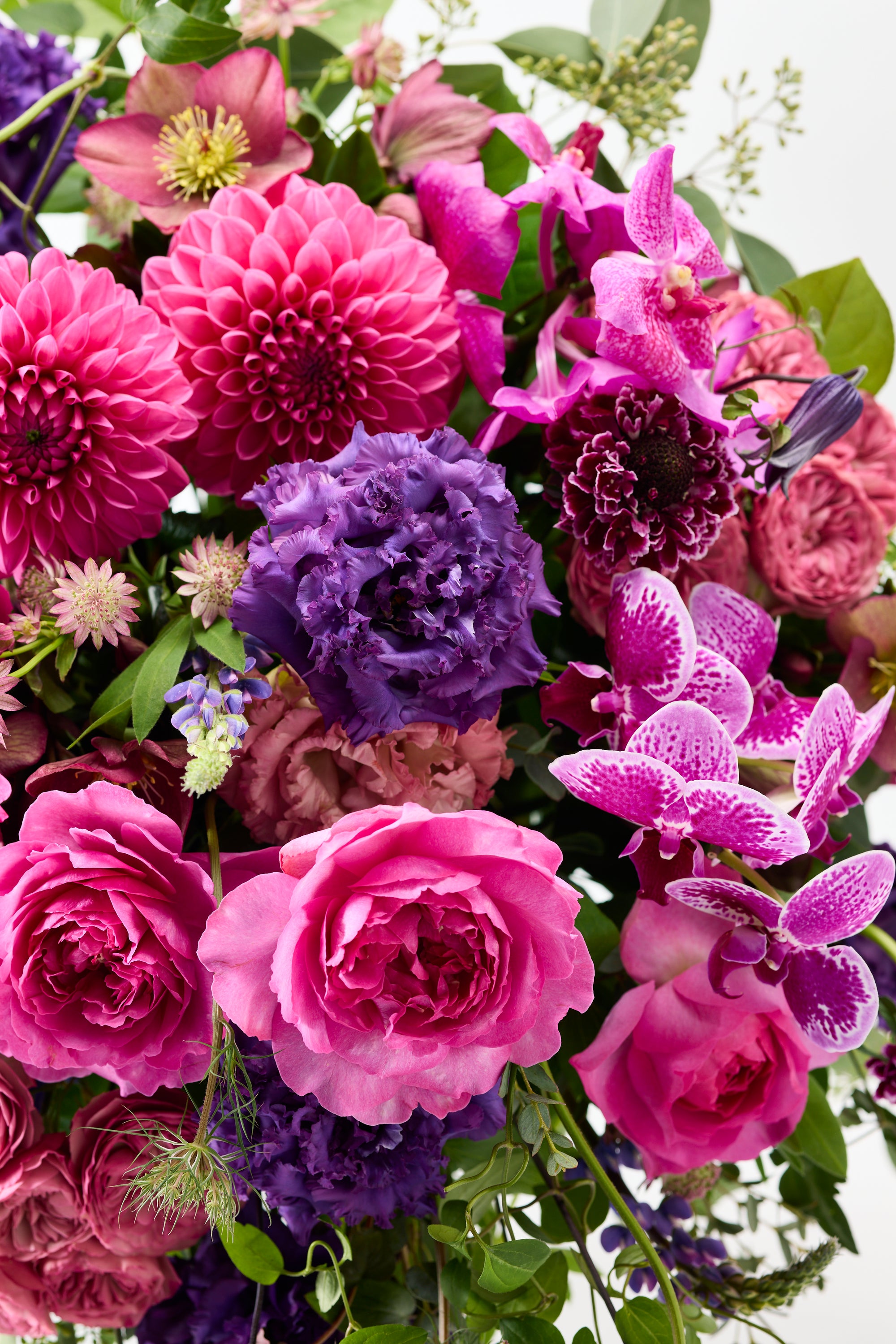 Floral Crescendo《フローラルクレシェンド》