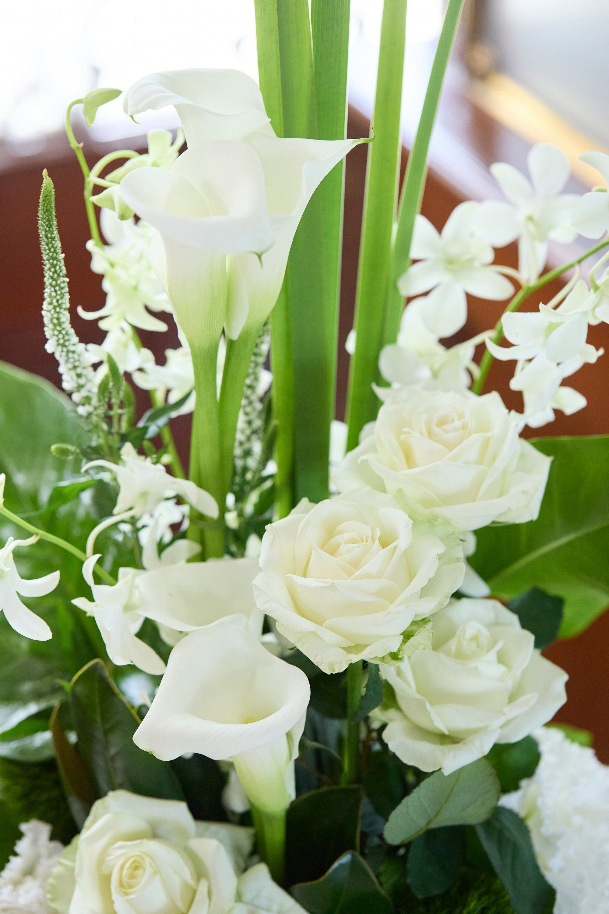 Zen Grace《ゼングレース》