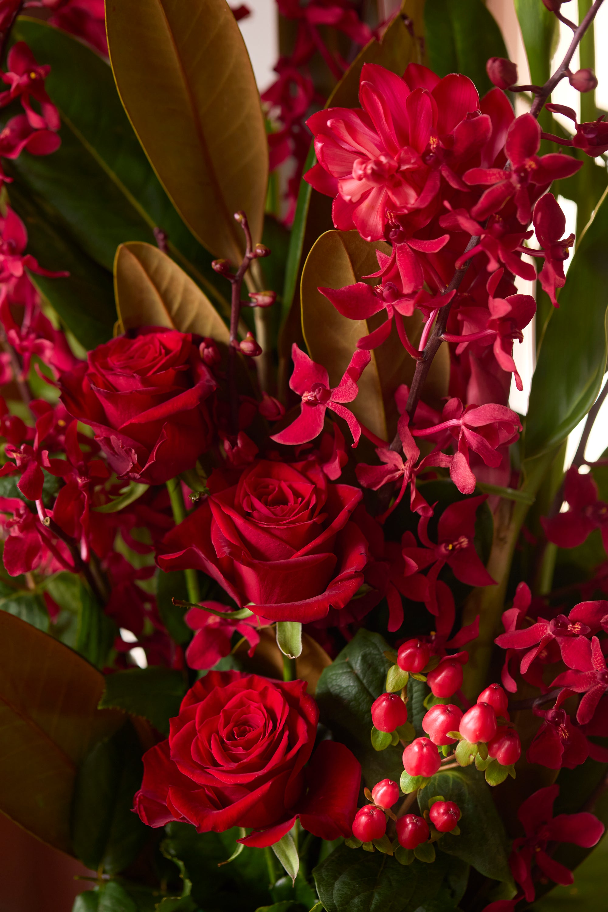 Tropical Grandeur《トロピカルグランドール》