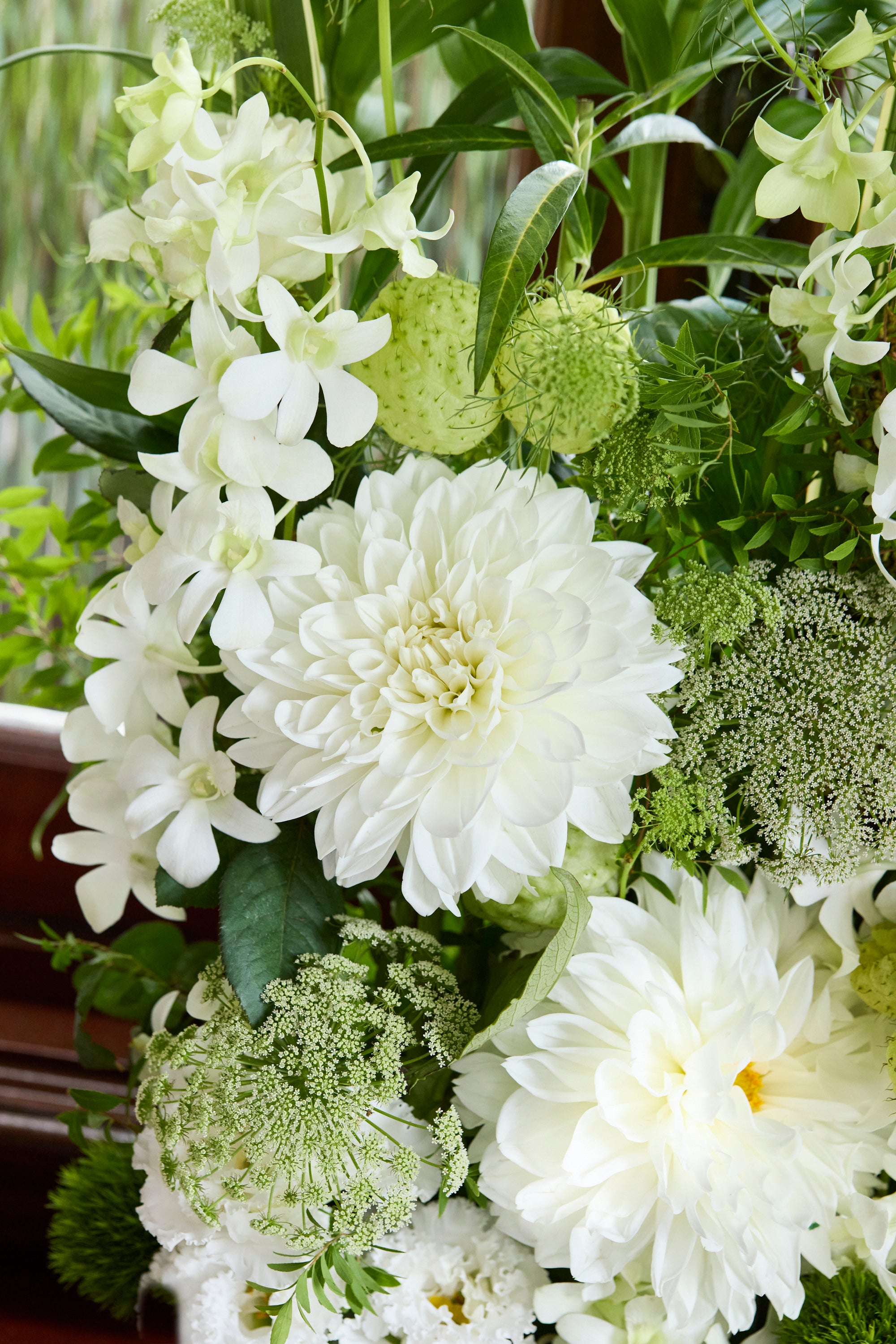 Botanical Symphony《ボタニカルシンフォニー》