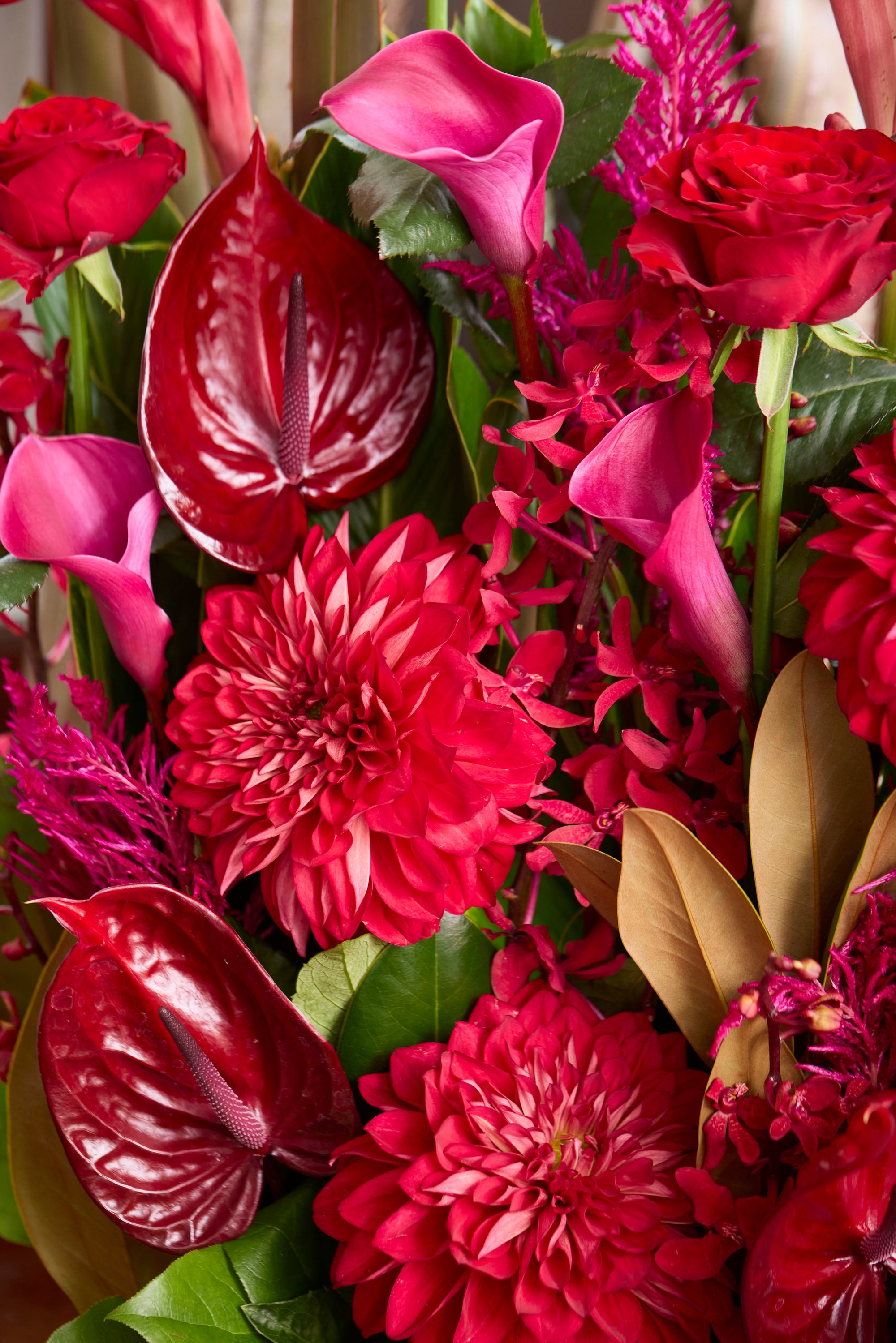 Imperial Bloom《インペリアルブルーム》