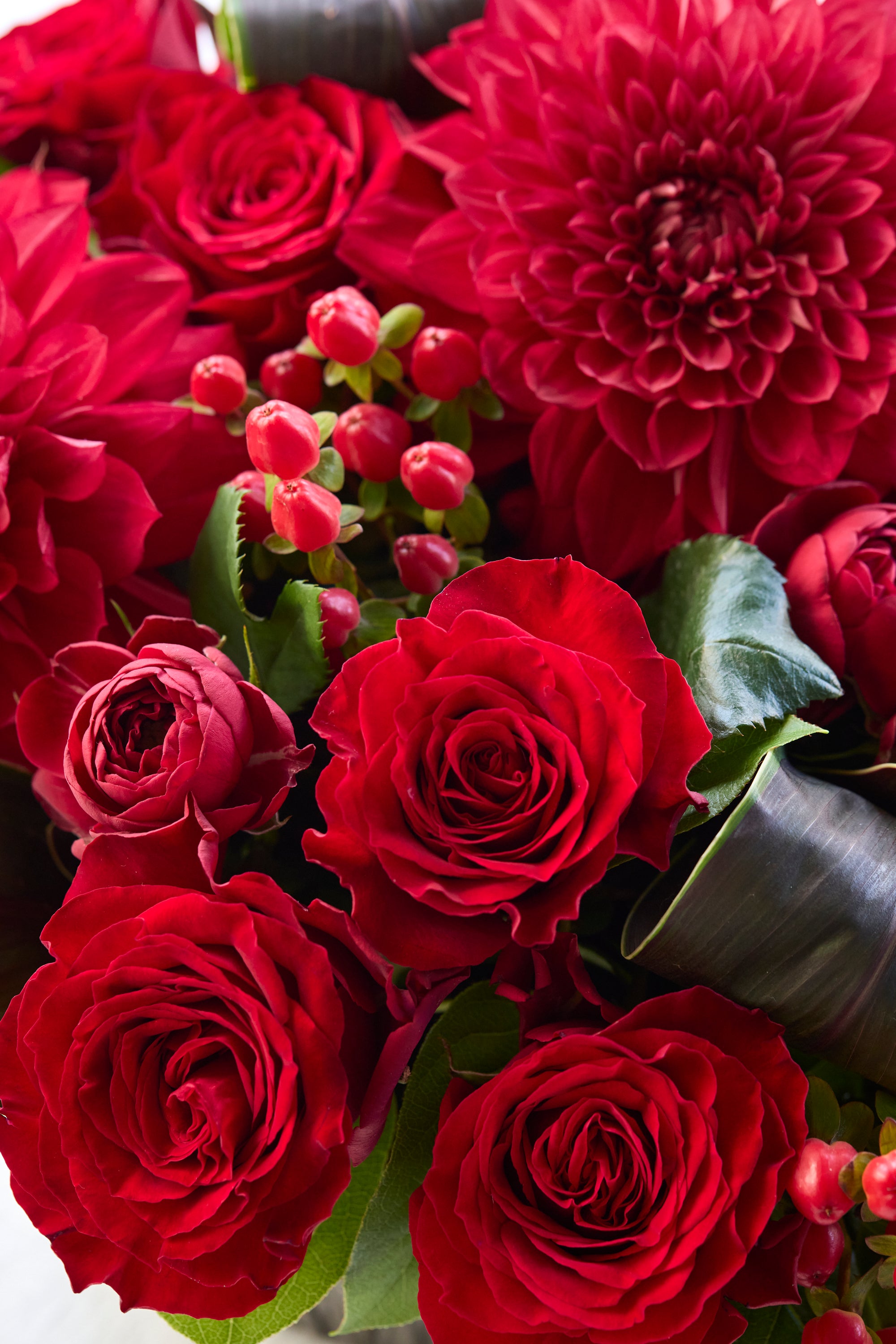 Scarlet Majesty《スカーレットマジェスティ》