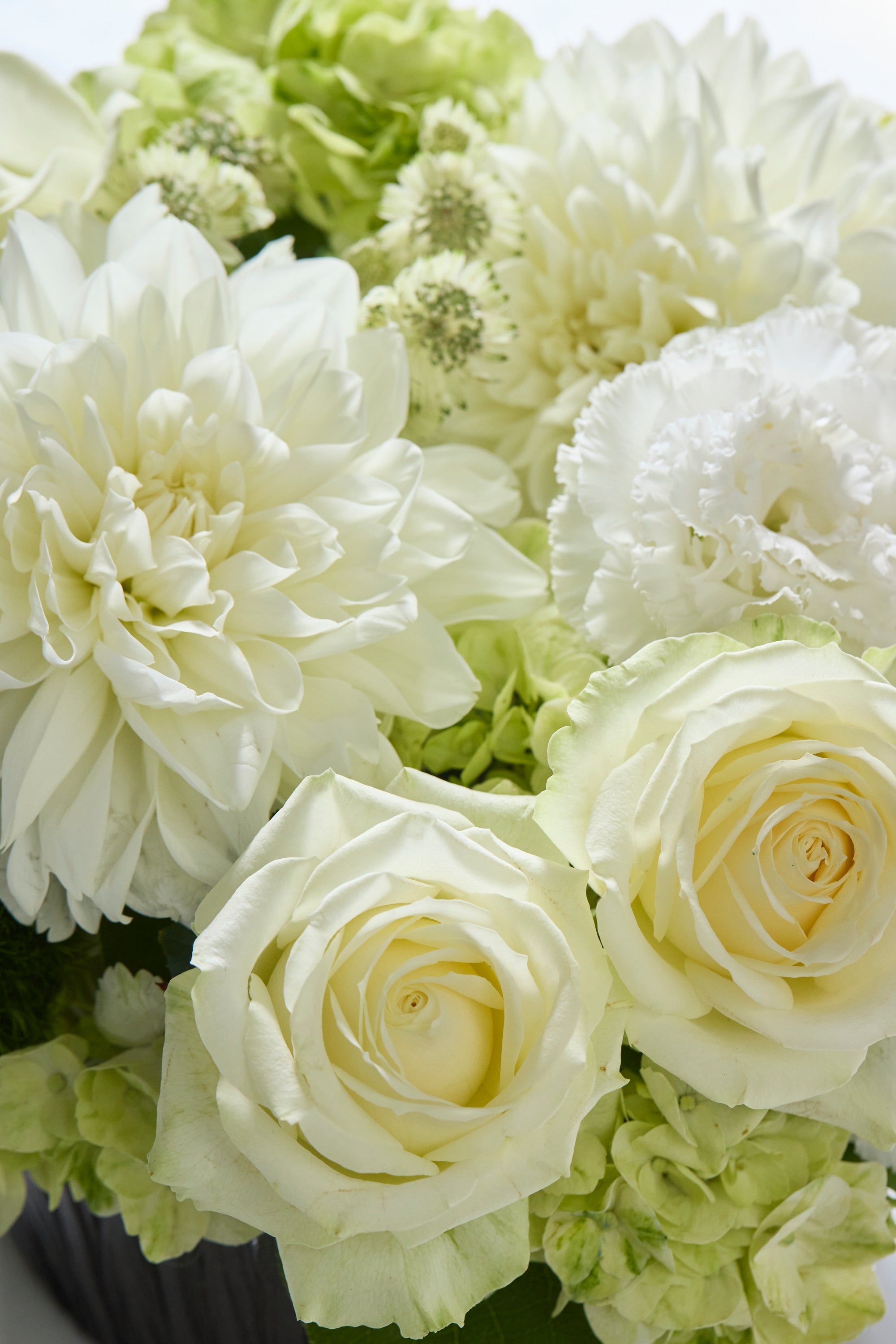 Pure Serenity《ピュアセレニティー》