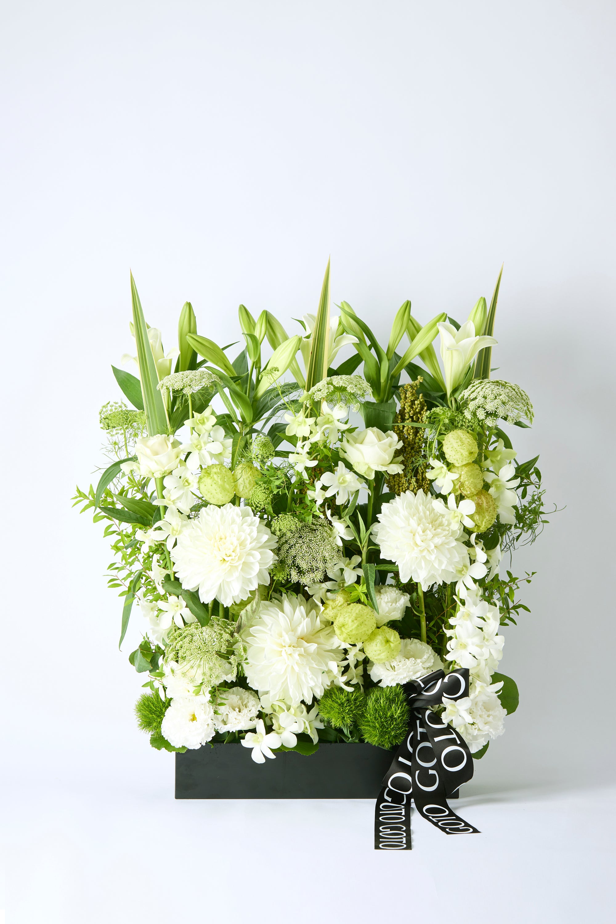 Botanical Symphony《ボタニカルシンフォニー》