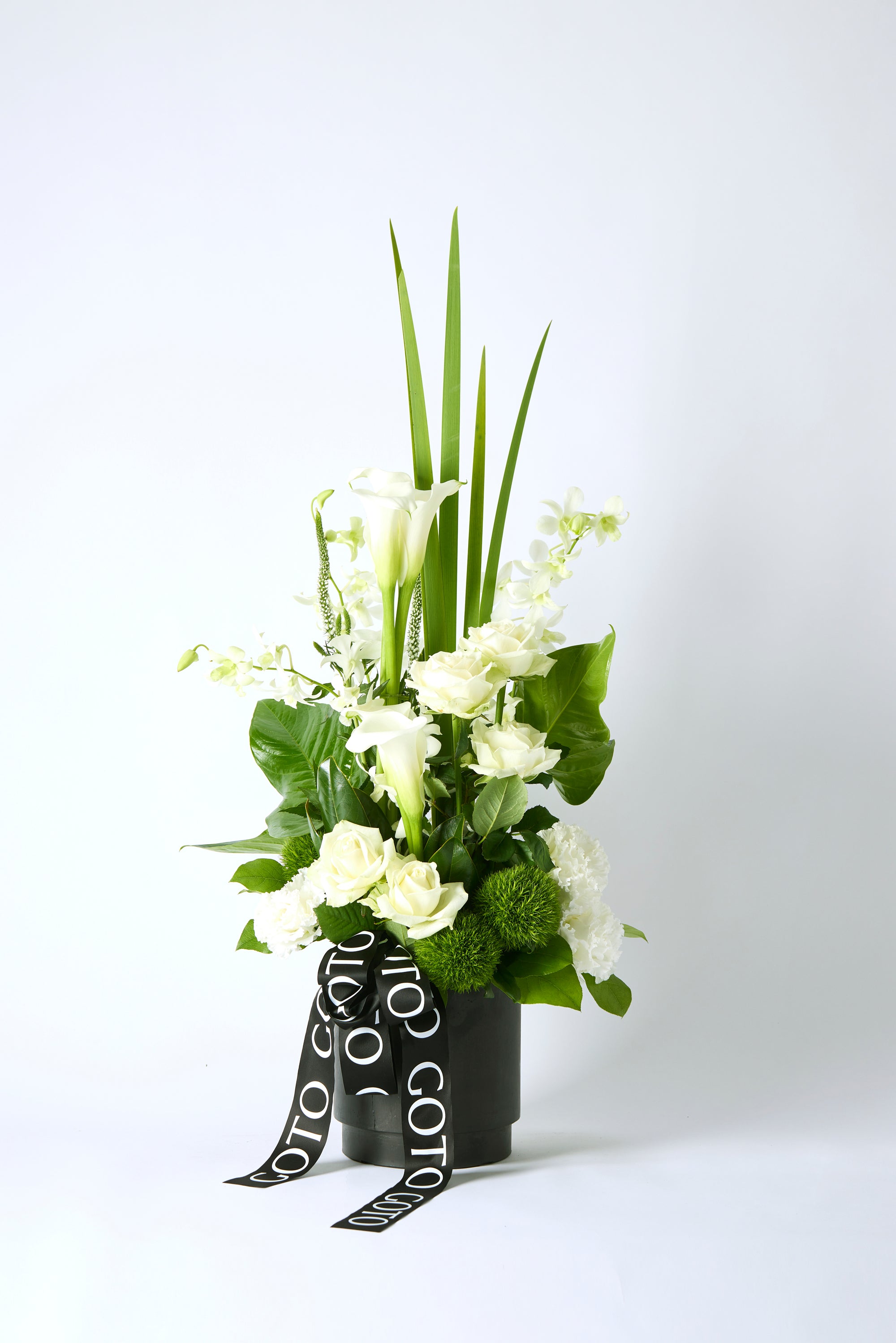 Zen Grace《ゼングレース》