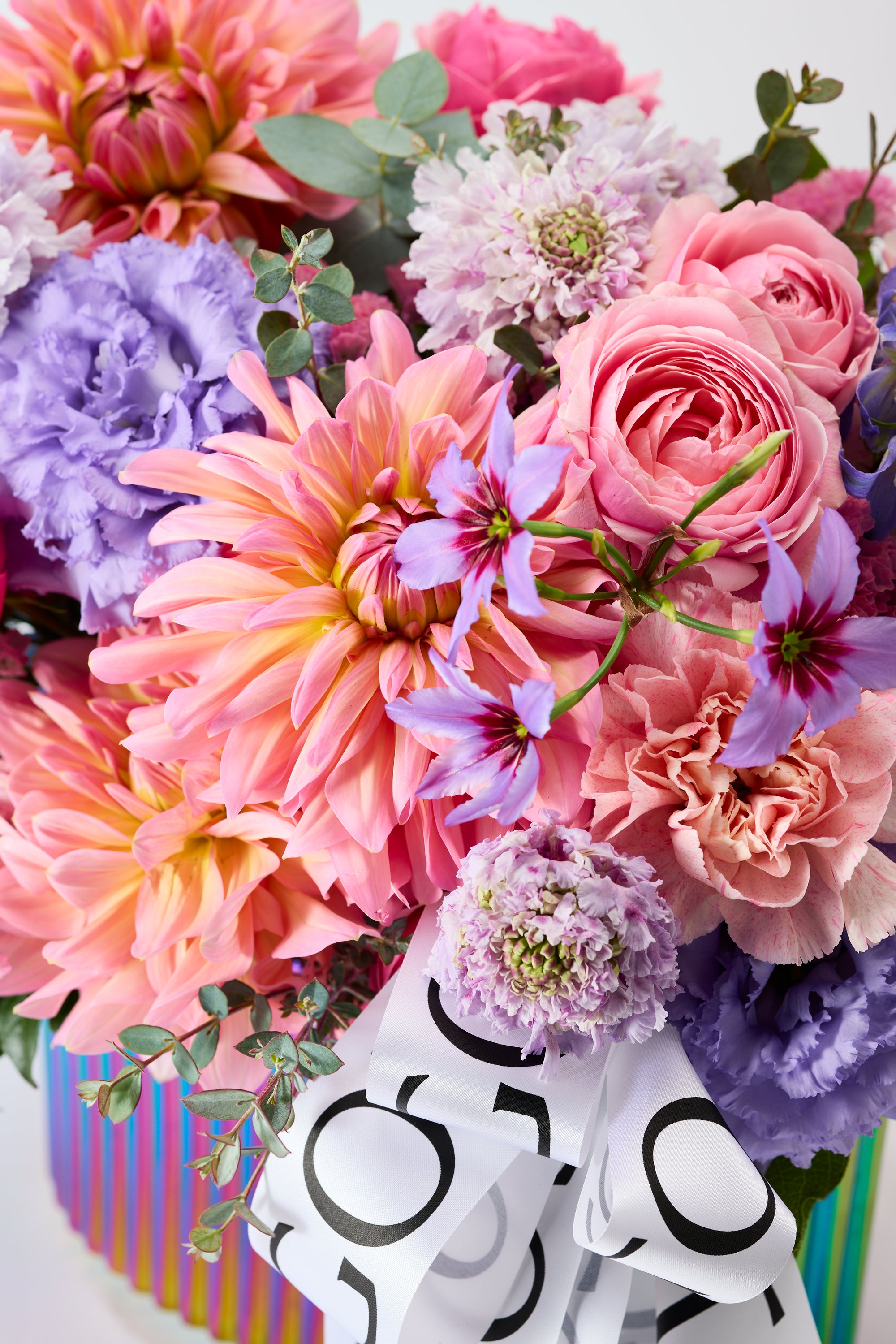 Bloom Pop《ブルームポップ》