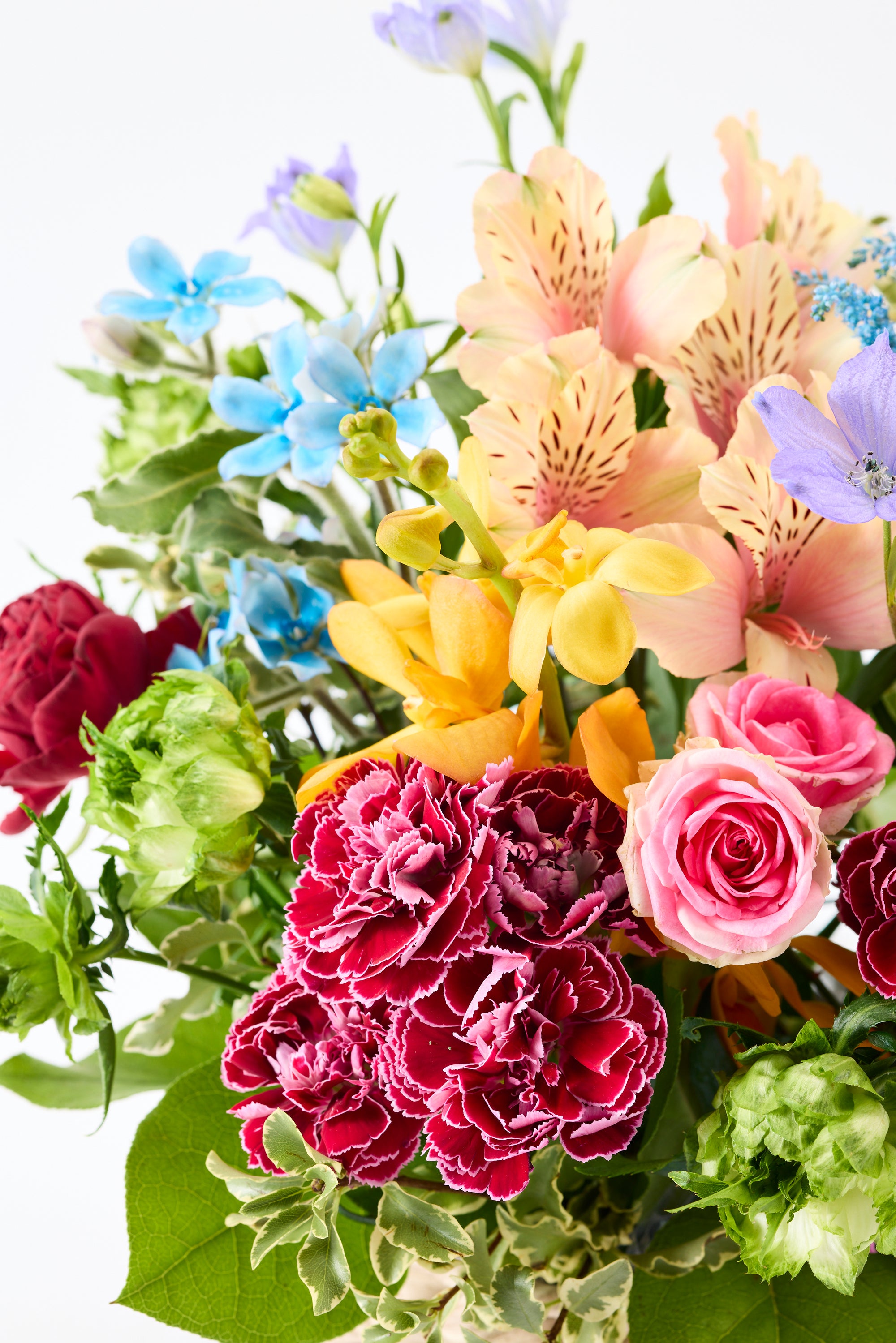 Flower Smile《フラワースマイル》