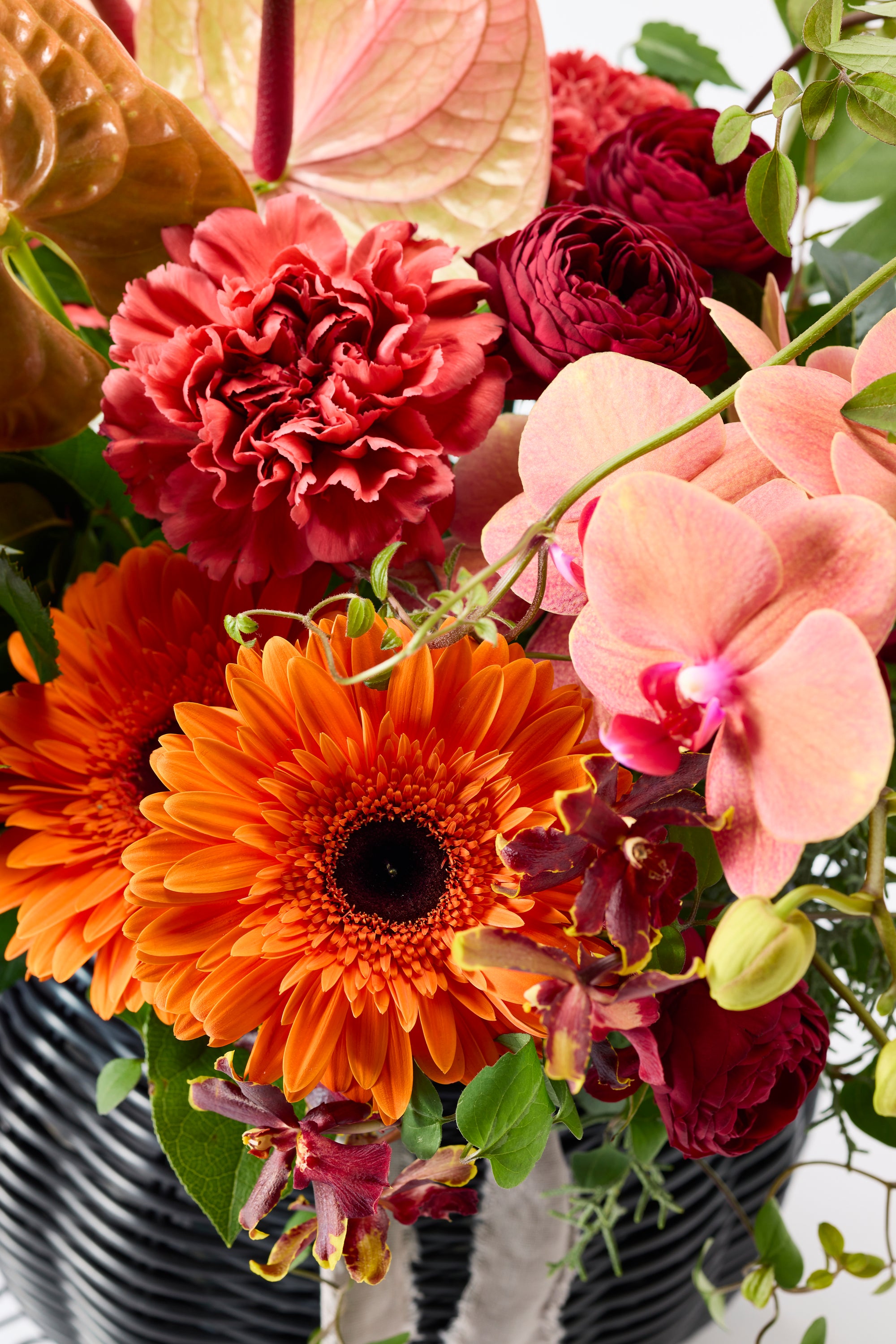 Heartfelt Pulse《ハートフェルトパルス》