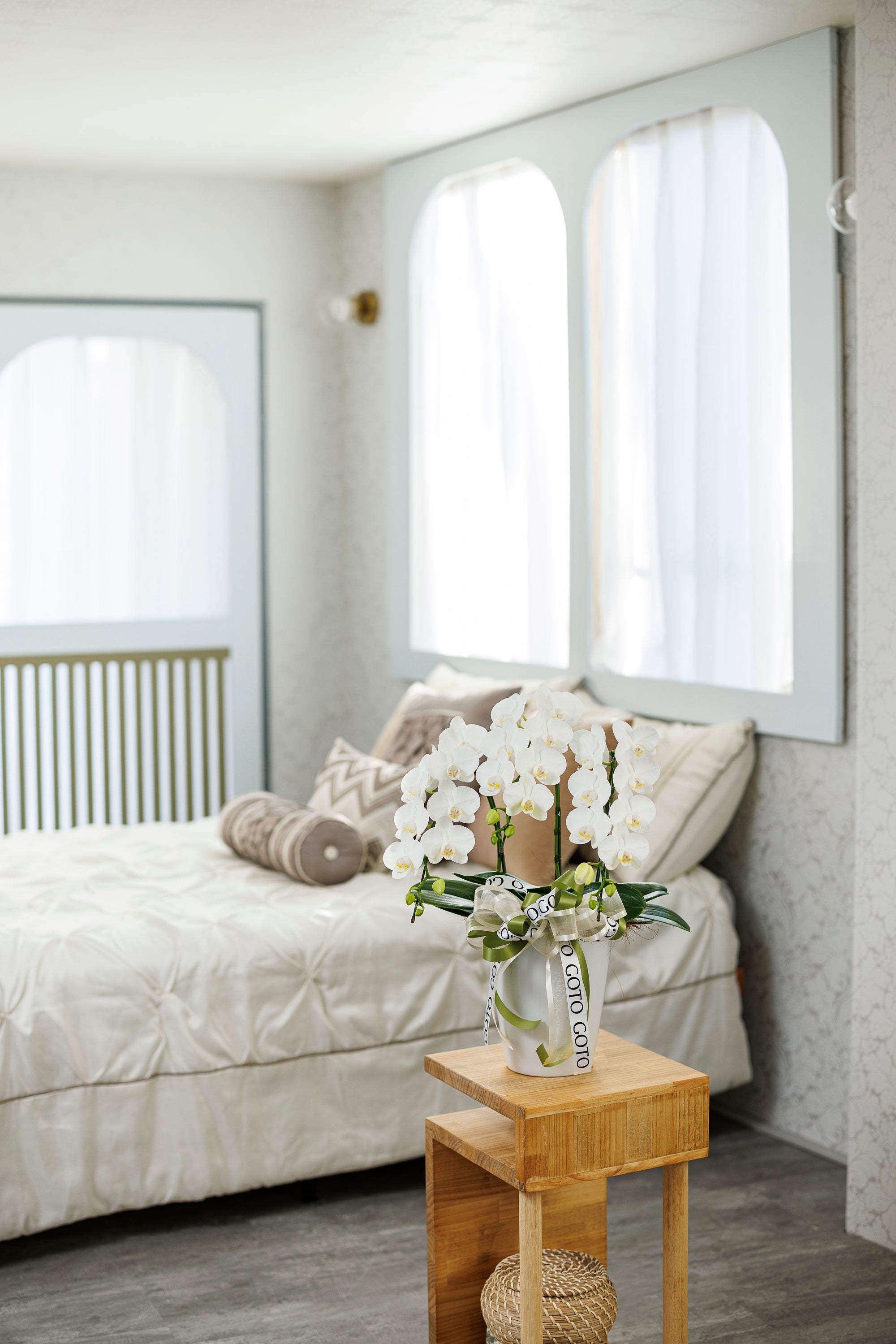 ミニ胡蝶蘭ホワイト3本立丨White Radiance - Small《ホワイトラディアンス・スモール》