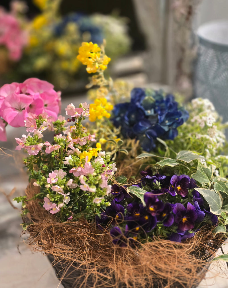 レギュラーレッスン