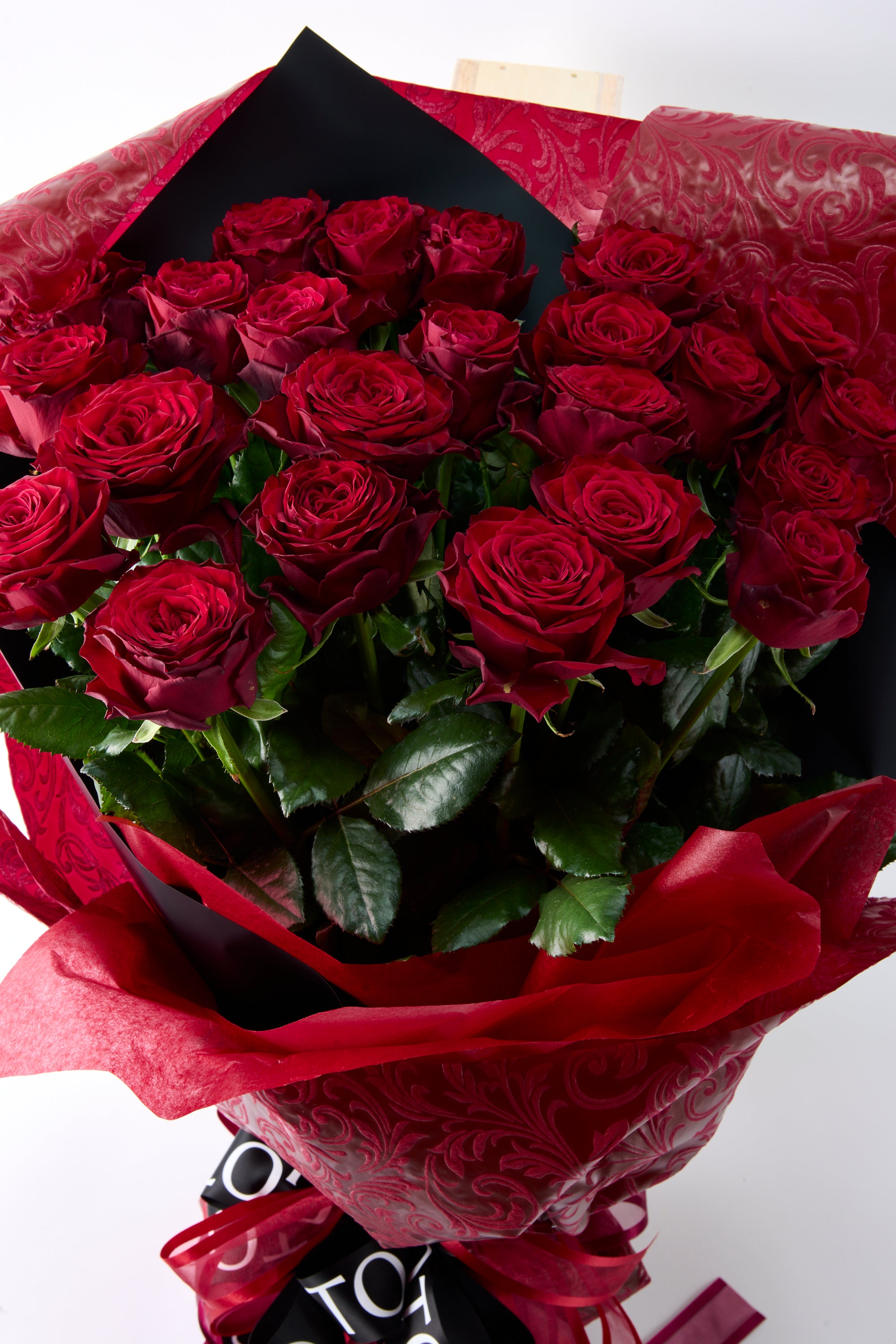 GOTO ROSE – Passion 24《ゴトウローズ・パッション24》