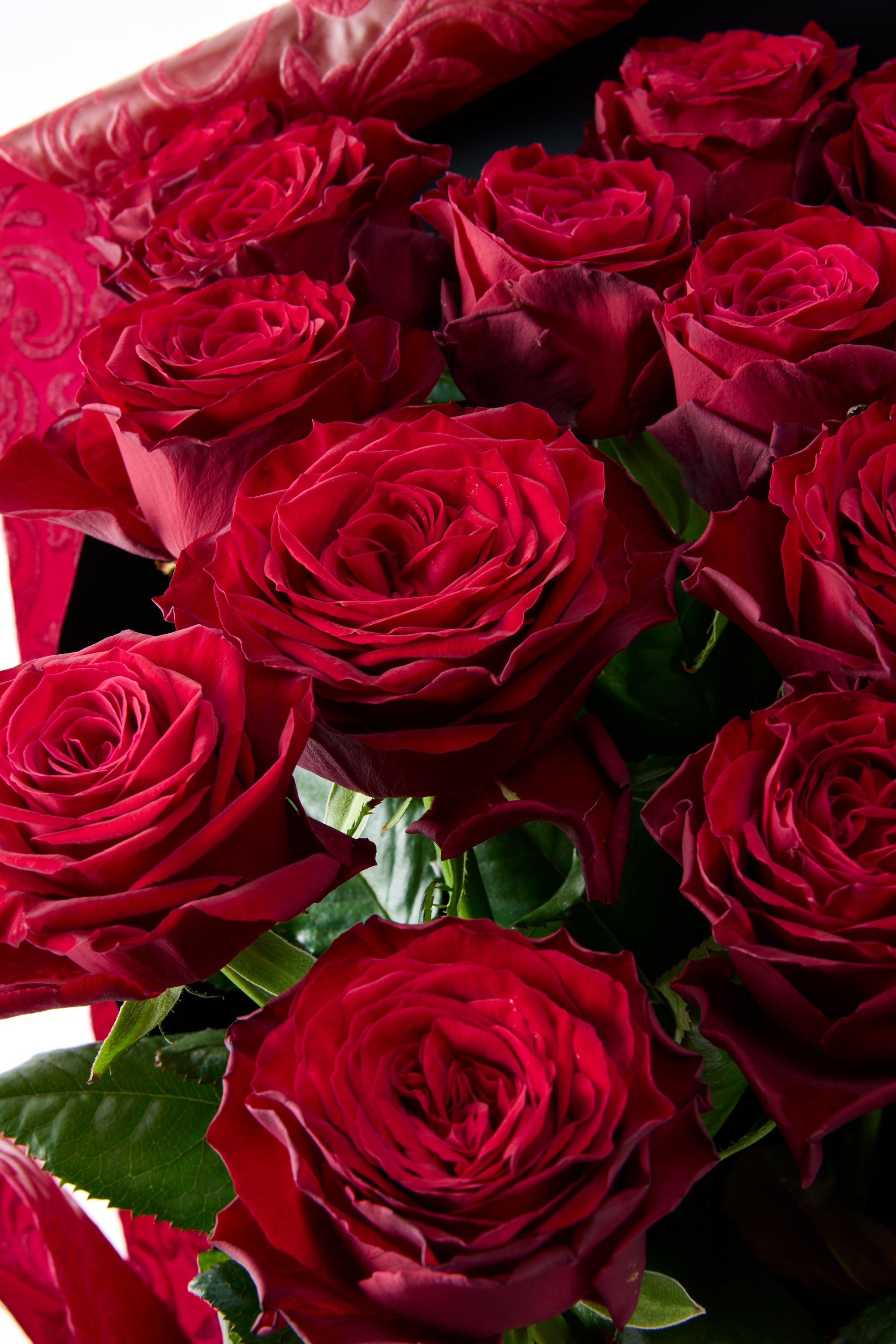 GOTO ROSE – Passion 24《ゴトウローズ・パッション24》