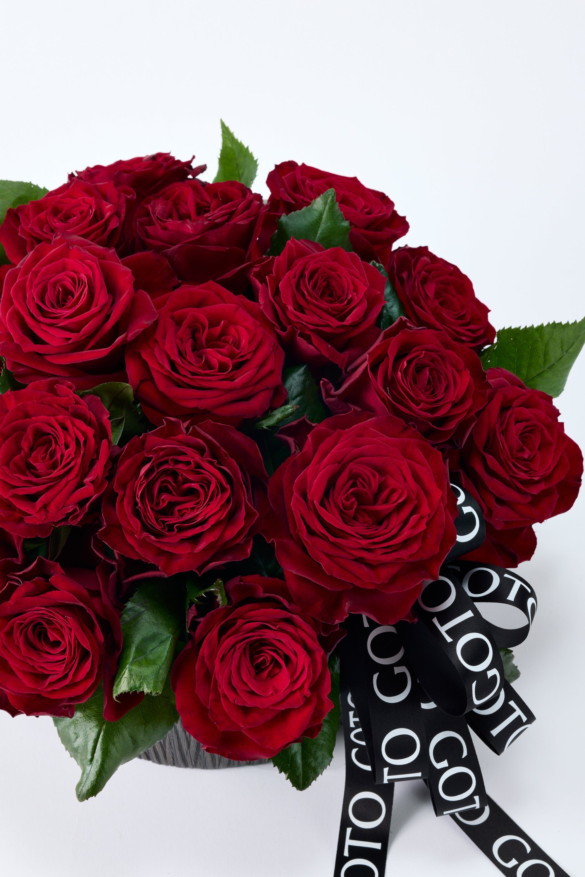 GOTO ROSE – Radiant Round《ゴトウローズ・ラディアントラウンド》