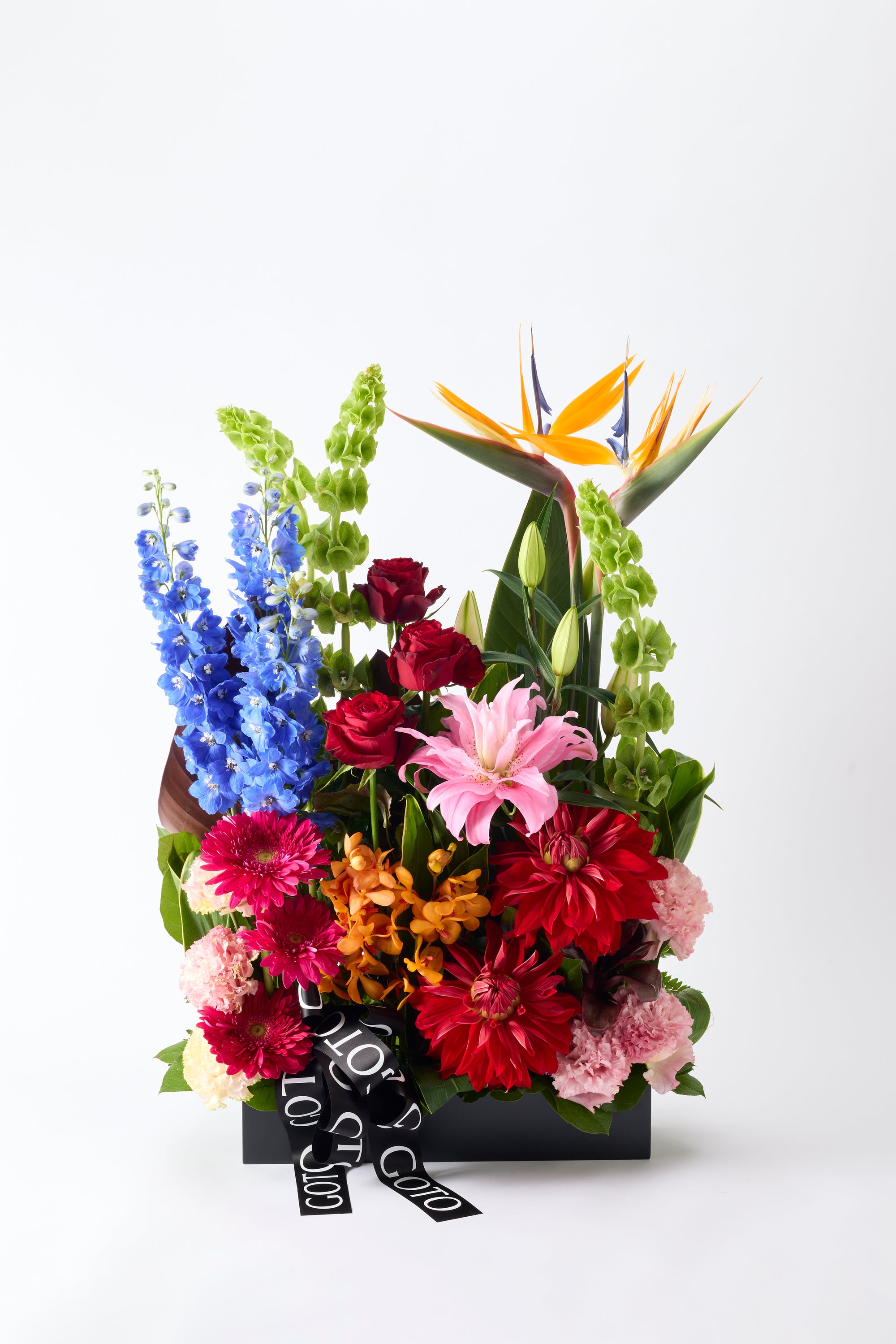 Grand Bloom 《グランドブルーム》