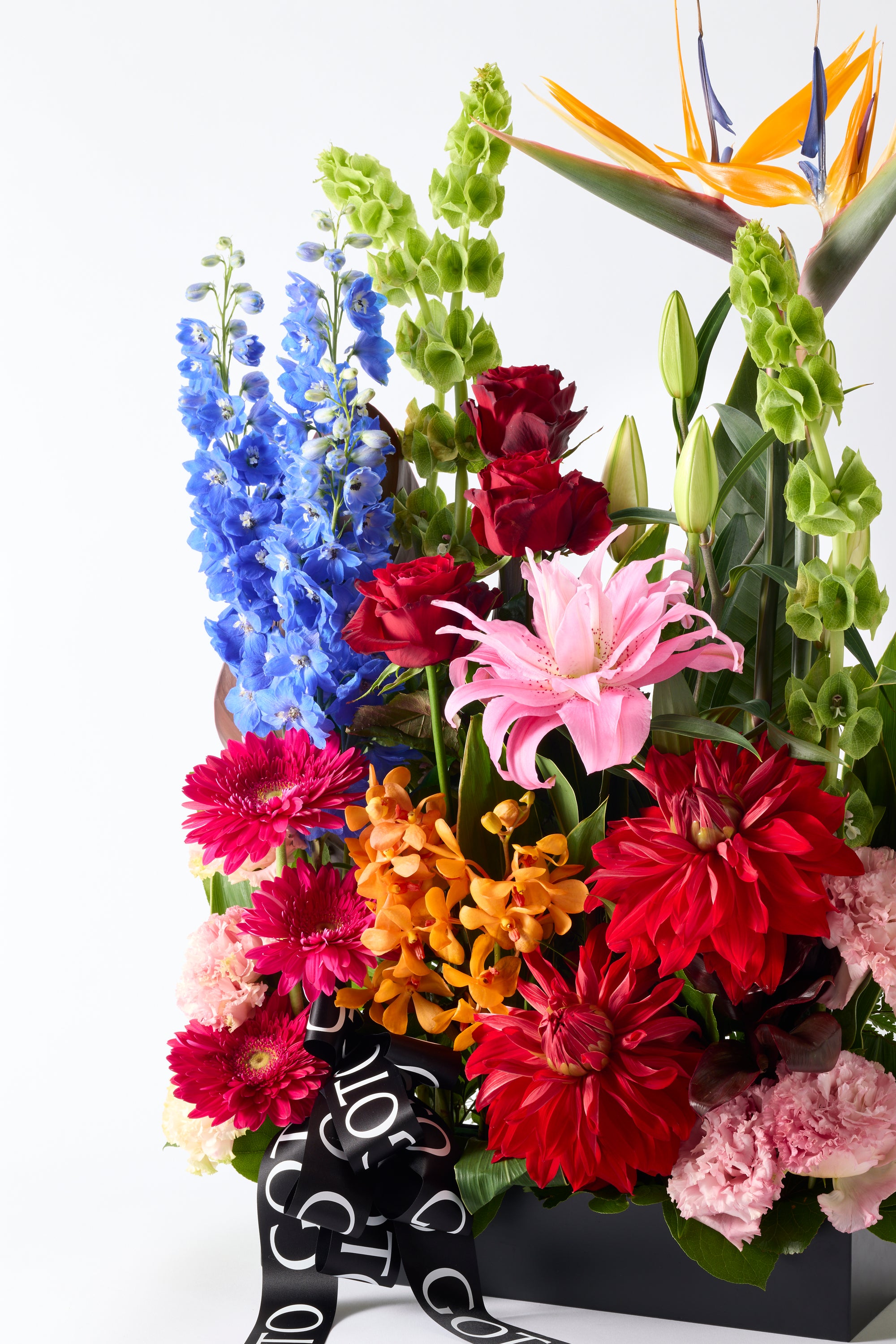 Grand Bloom 《グランドブルーム》