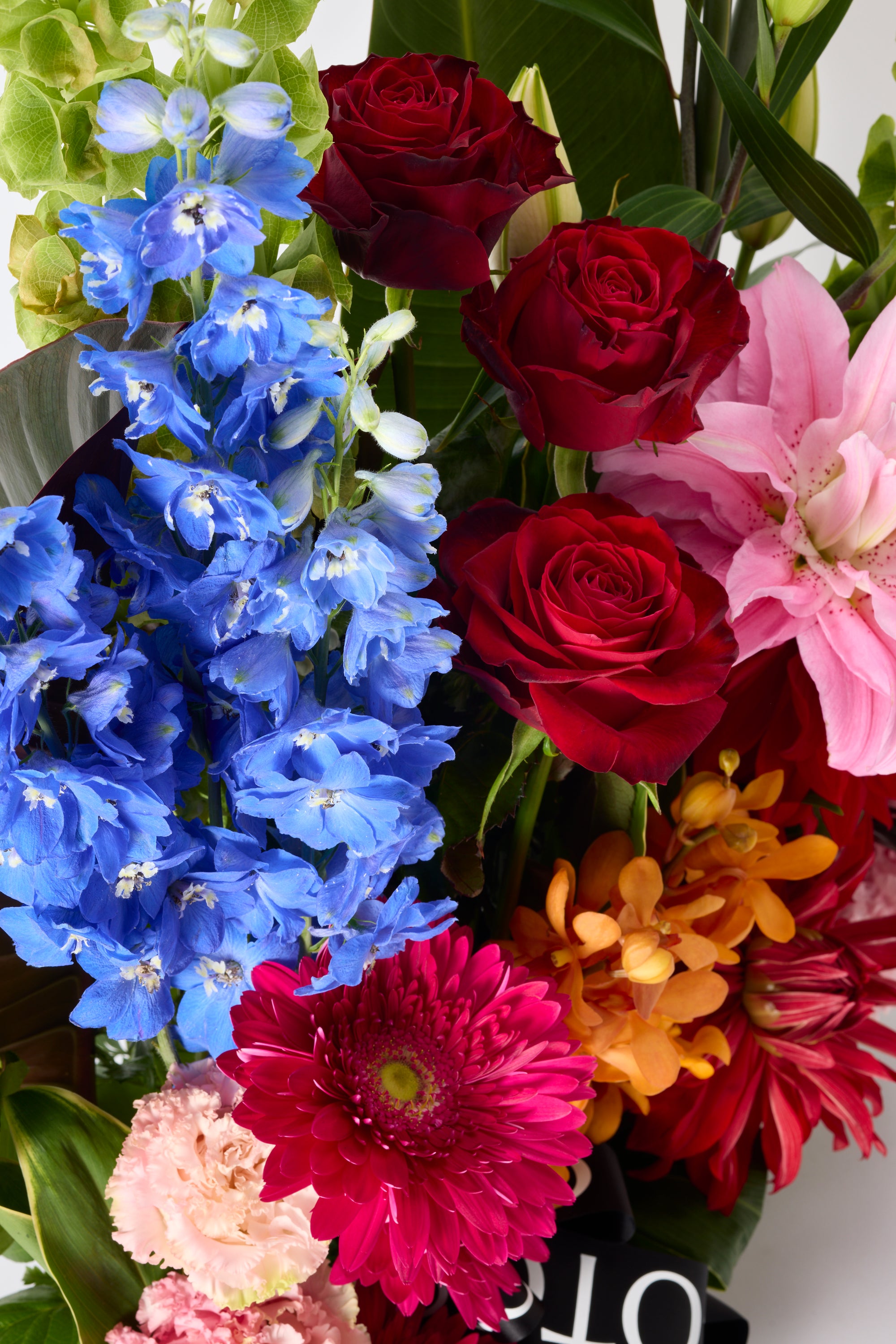 Grand Bloom 《グランドブルーム》