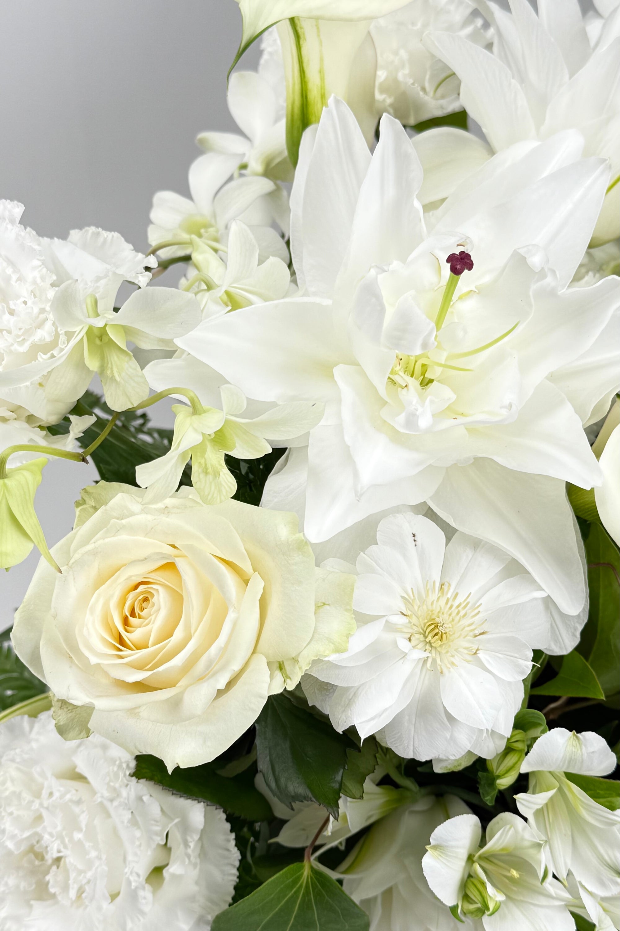 Eternal Bloom - Large《エターナルブルーム・ラージ》