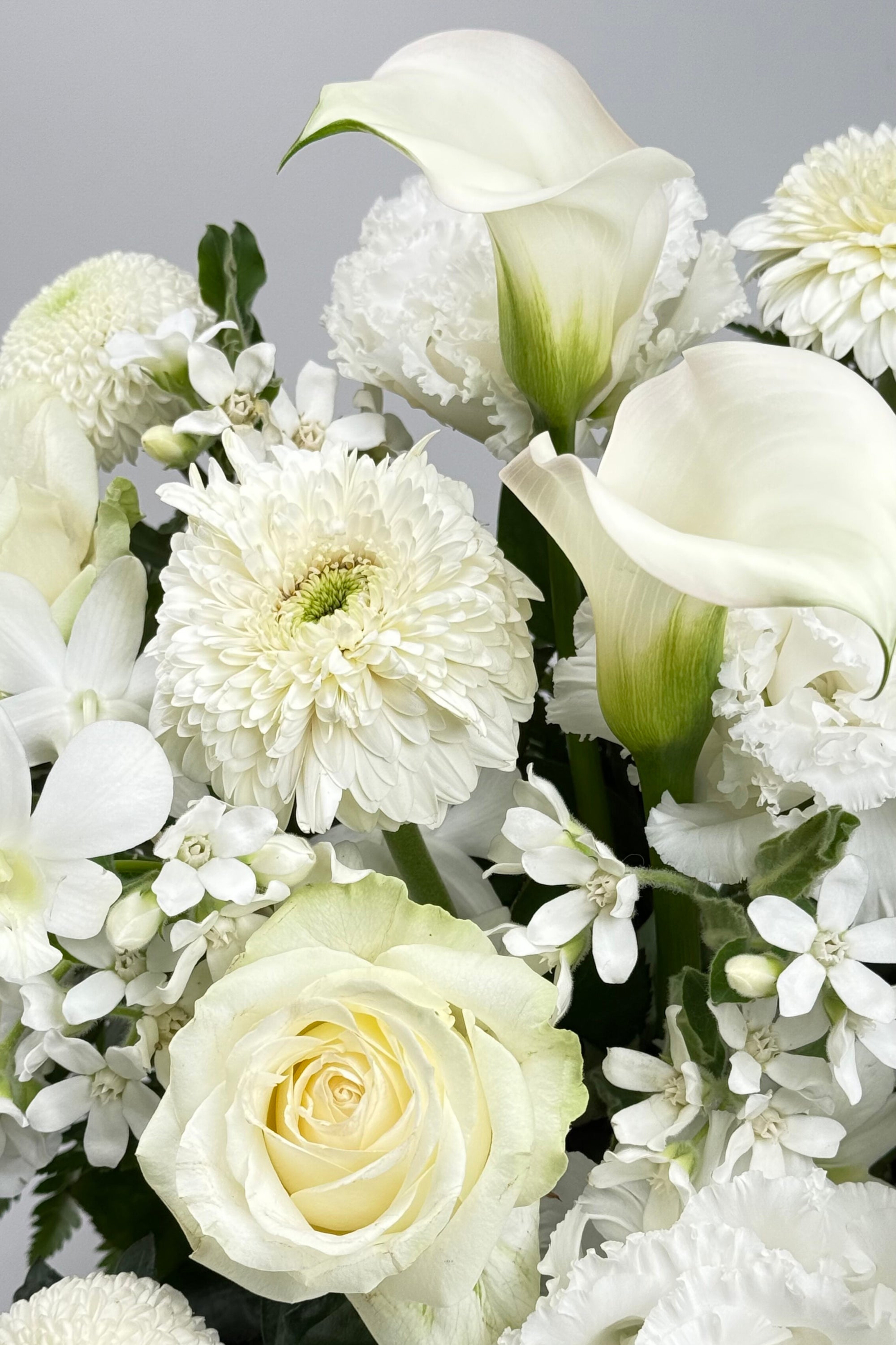 Eternal Bloom - Small《エターナルブルーム・スモール》