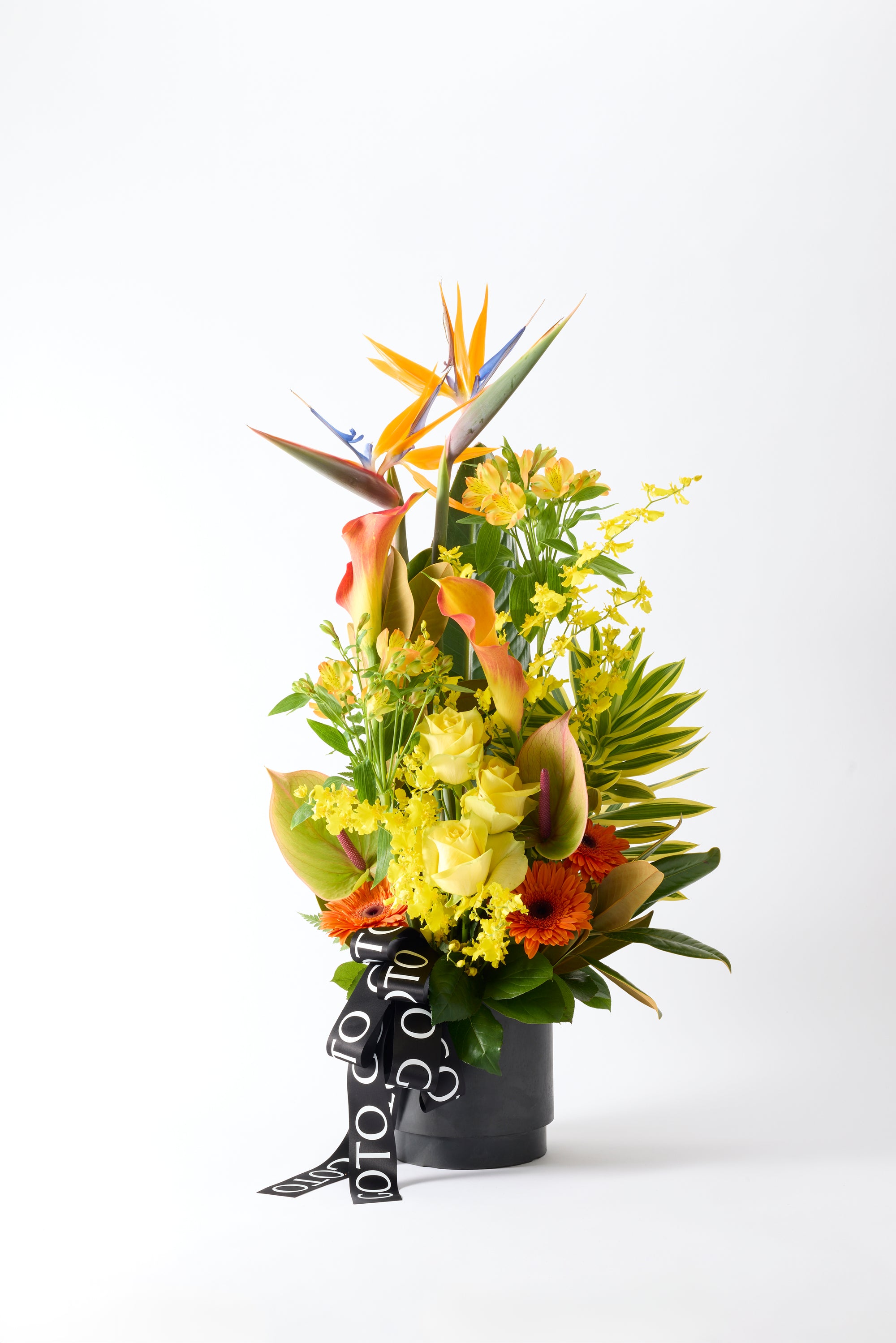 Golden Flair 《ゴールデンフレア》