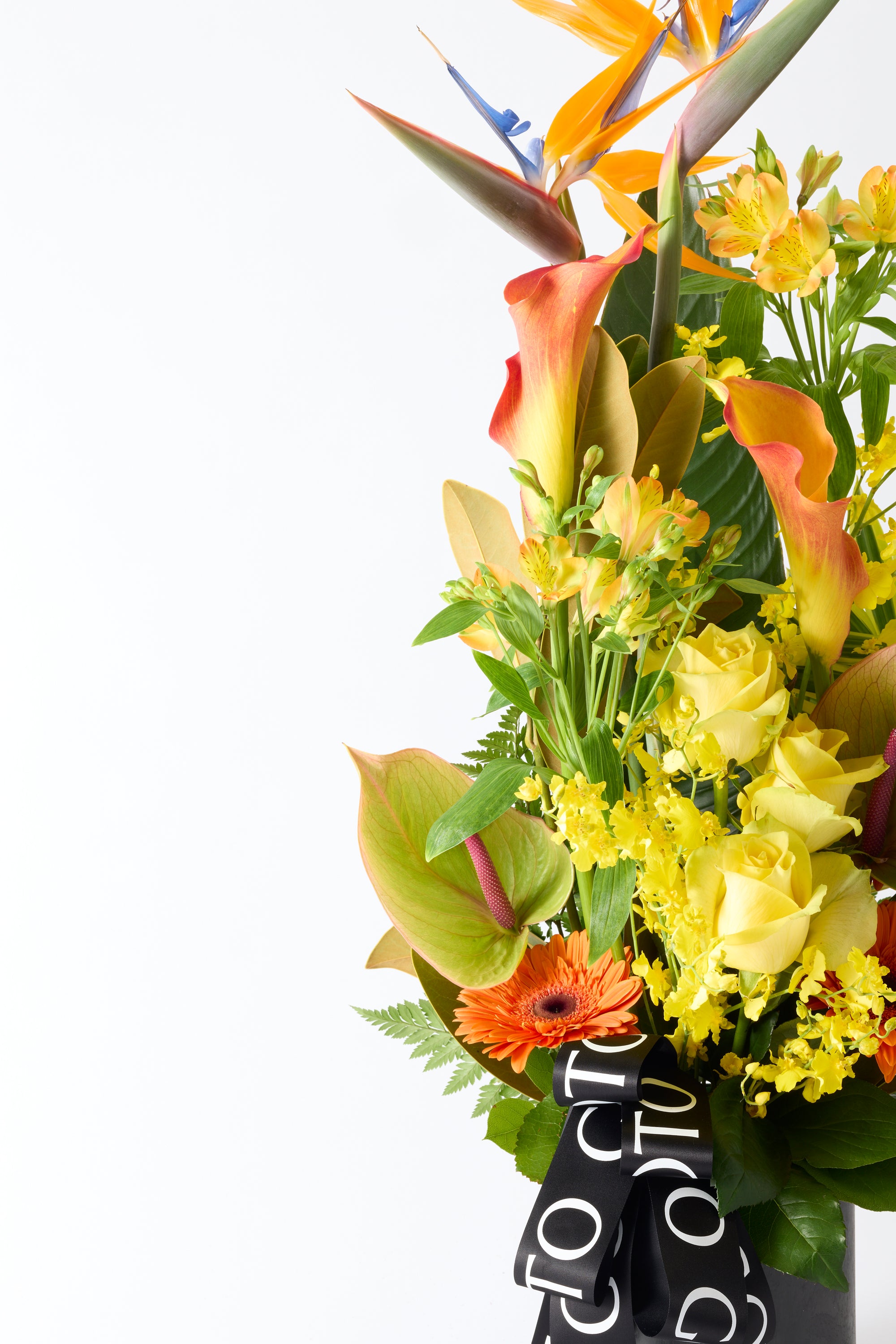 Golden Flair 《ゴールデンフレア》